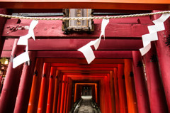 穴守稲荷神社の鳥居　Ⅱ