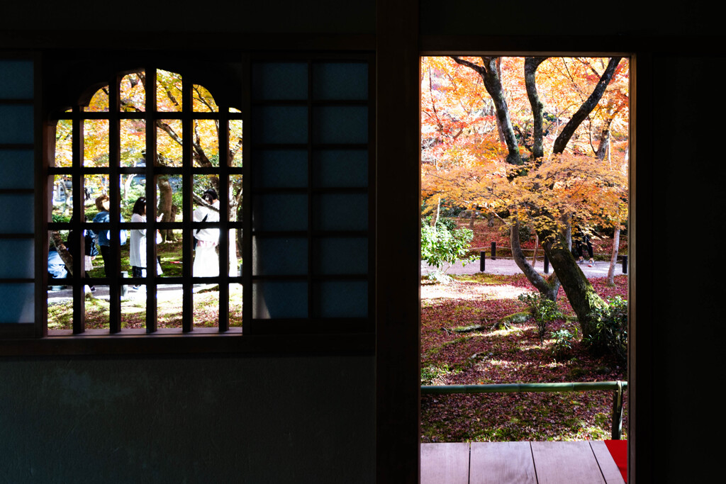 圓光寺 戸と窓の秋景色