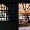 圓光寺 戸と窓の秋景色
