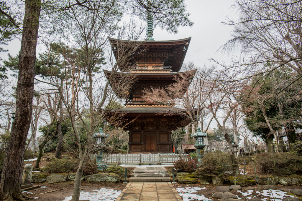 豪徳寺の三重塔