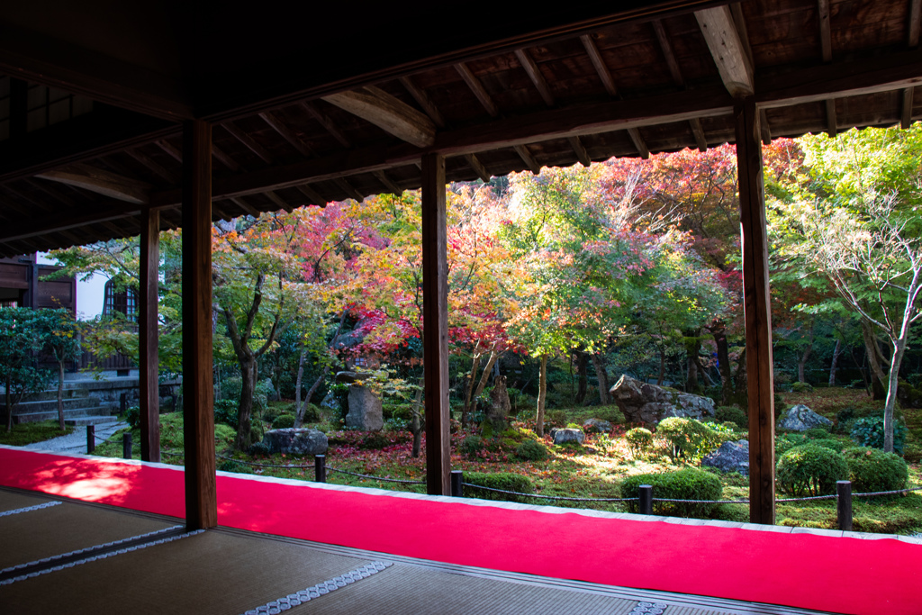 圓光寺の十牛之庭を臨む。②