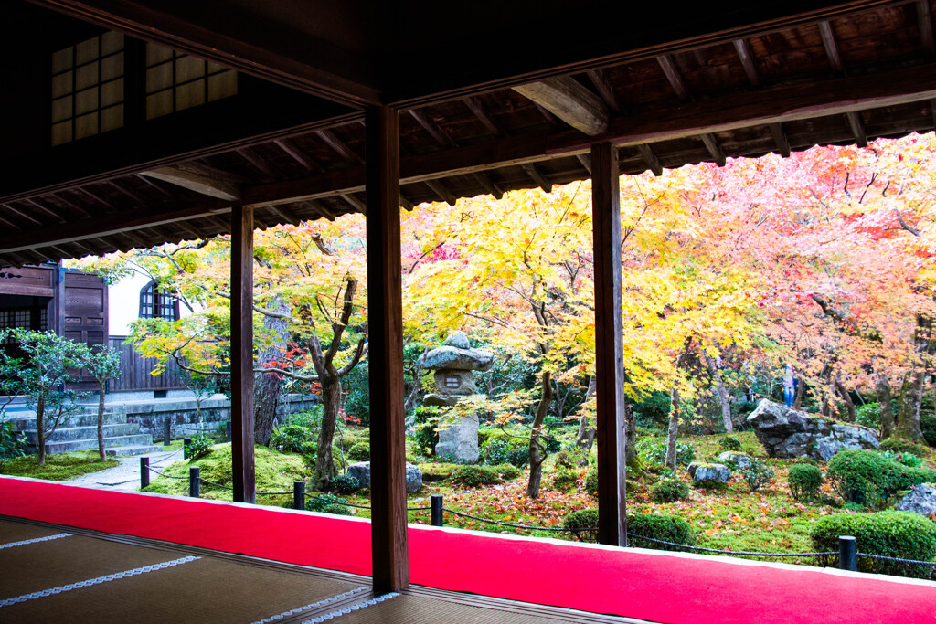 圓光寺_紅葉の十牛之庭を