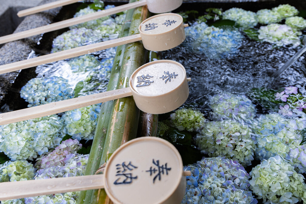藤森神社のおもてなし