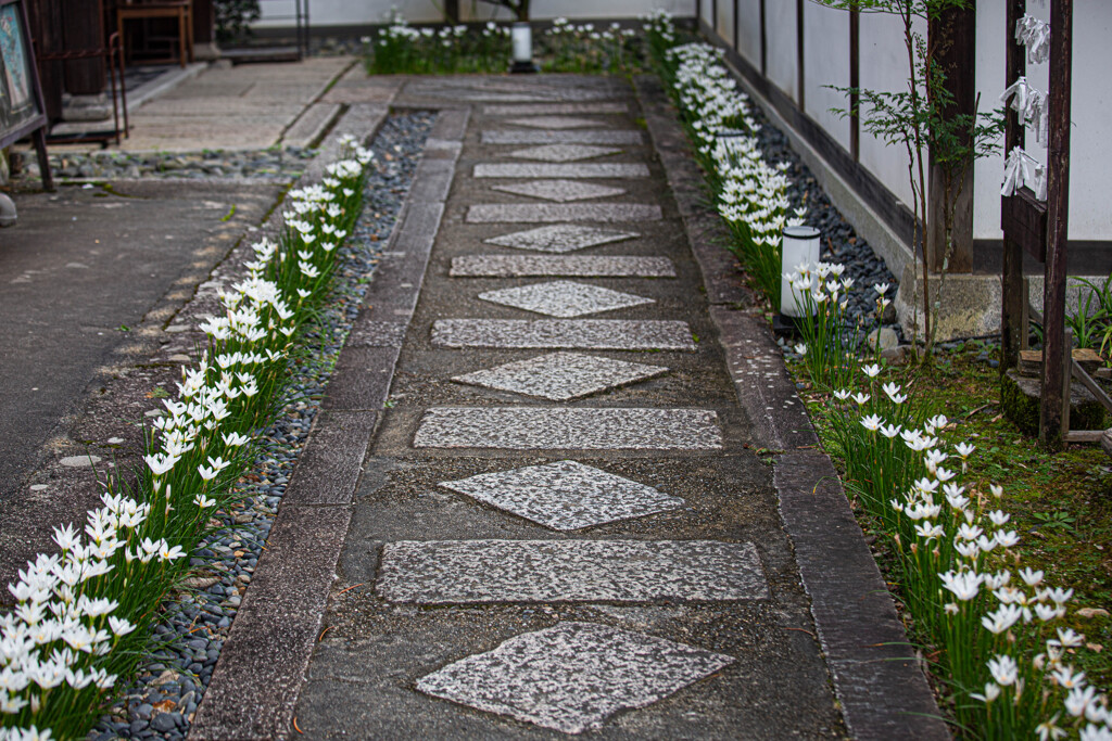 『花参道』