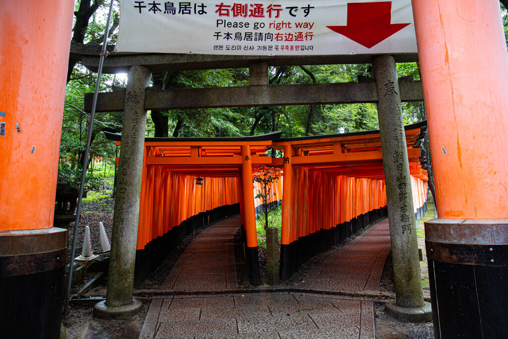 「千本鳥居は右側通行です」