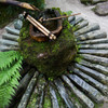 苔玉の鉢。