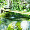 藤森神社の手水石