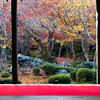 晩秋の圓光寺にて　Ⅵ