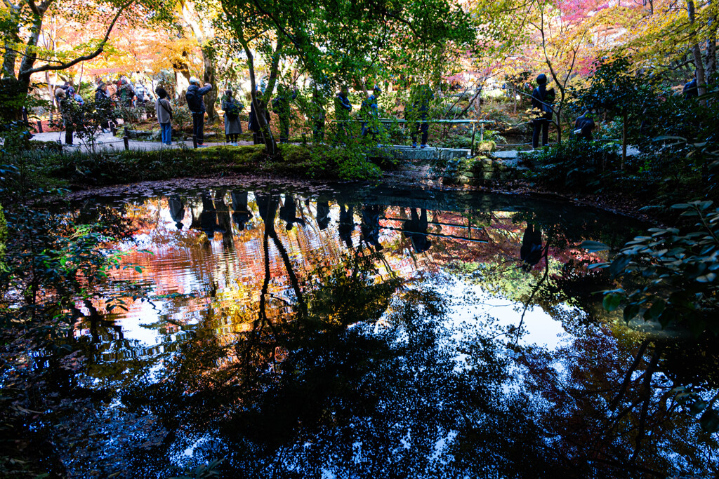 晩秋 それぞれの圓光寺 ①