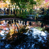 晩秋 それぞれの圓光寺 ①
