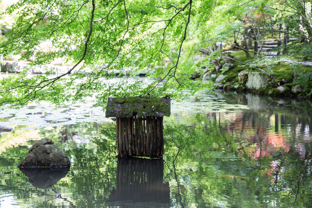 初夏の天授庵　Ⅴ