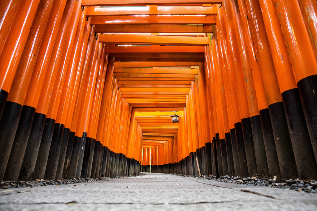 朝の千本鳥居　Ⅰ