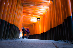 朝の千本鳥居　Ⅵ