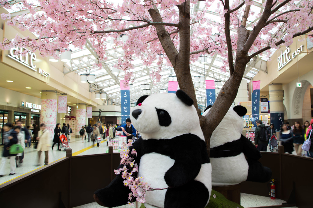上野駅の桜　Ⅱ