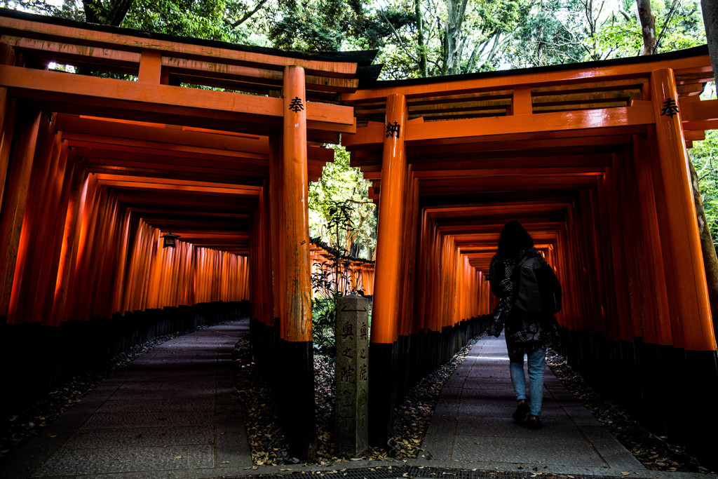 迷宮へようこそ。