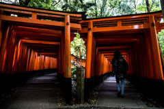 迷宮へようこそ。