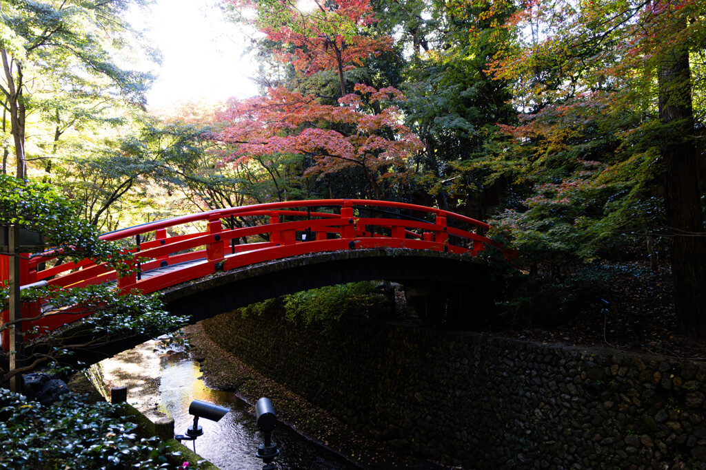 北野天満宮もみじ苑にて　Ⅱ