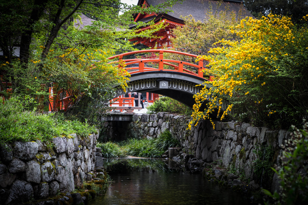 下鴨神社の春景
