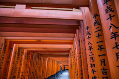 千本鳥居で　Ⅲ