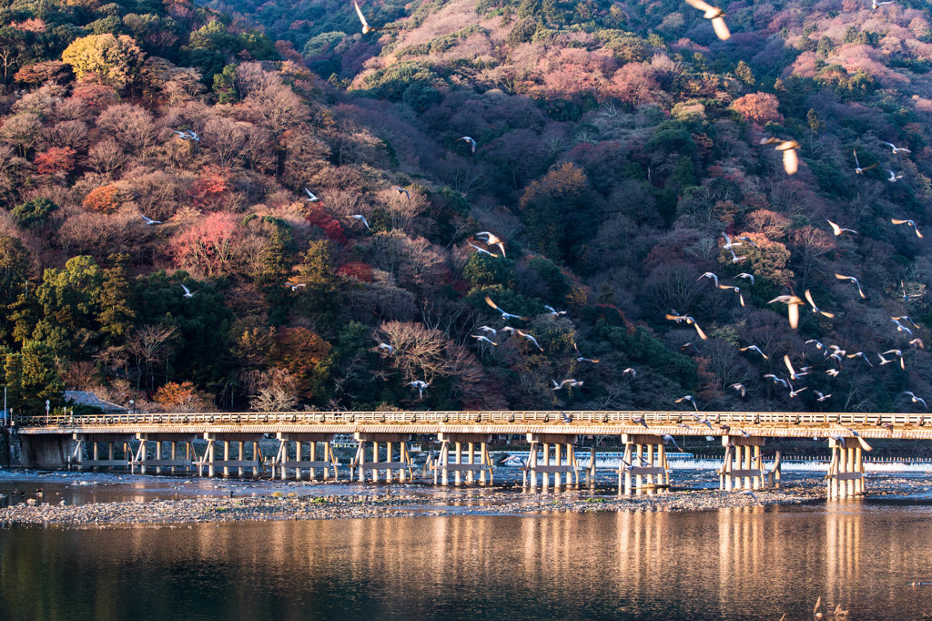 晩秋の嵐山　Ⅰ