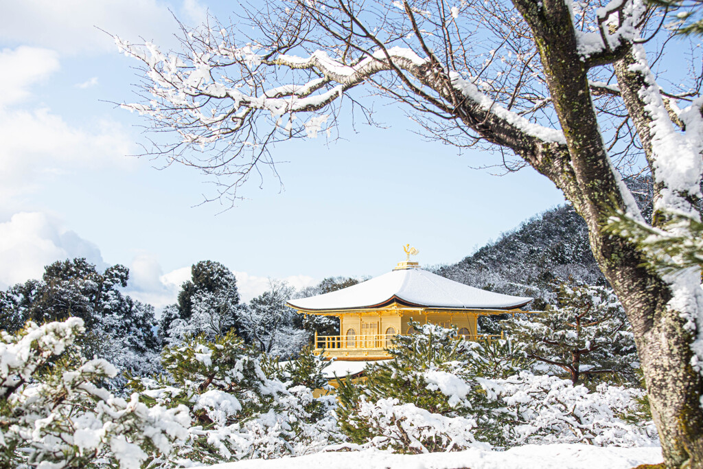 冬の金閣寺　Ⅵ