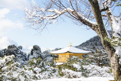 冬の金閣寺　Ⅵ