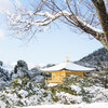 冬の金閣寺　Ⅵ