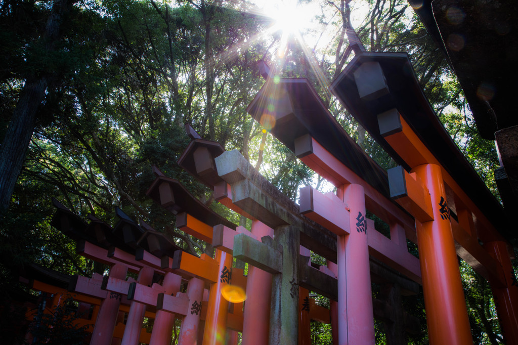 朝日と鳥居。