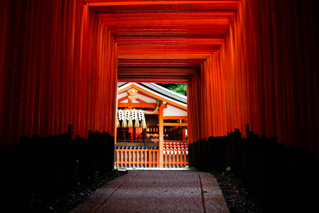 千本鳥居を抜けて　Ⅰ