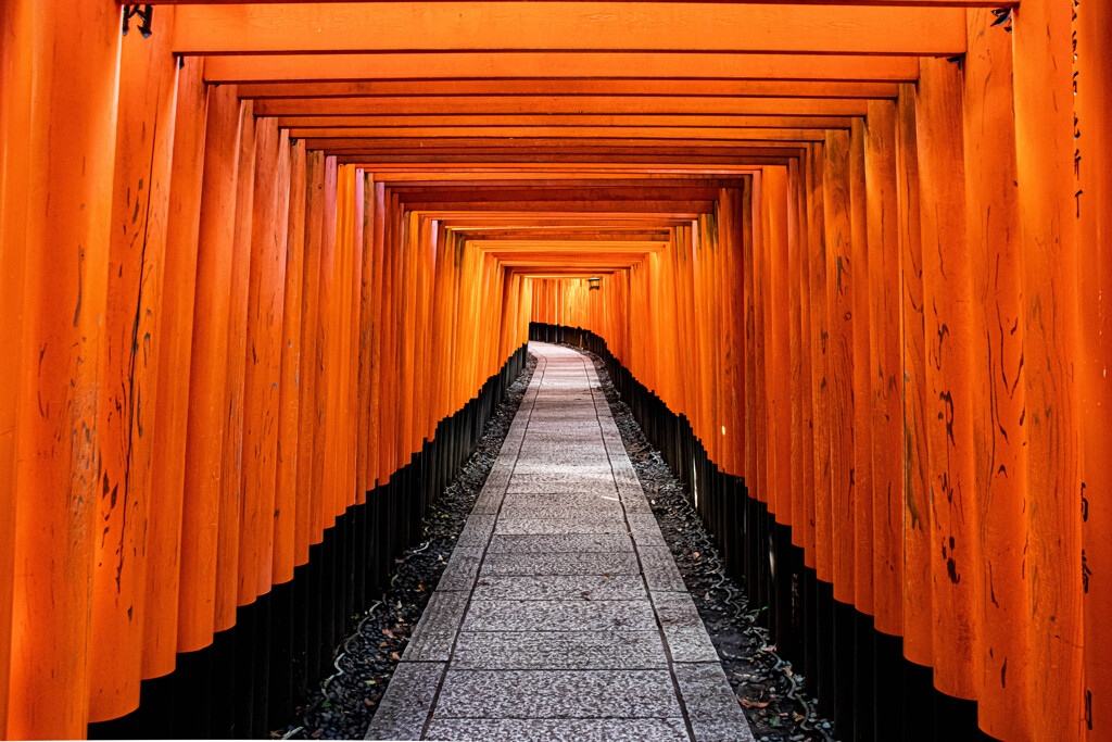 朝の千本鳥居で　Ⅰ