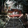 延暦寺にて。