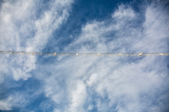 平安神宮の空　Ⅱ