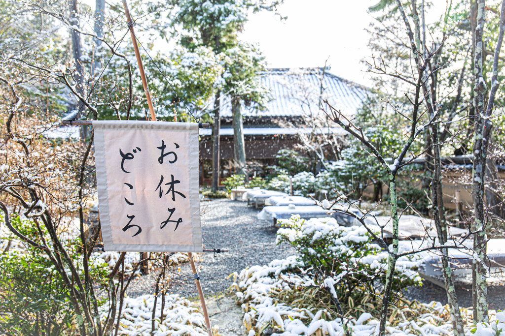 お休みどころもお休み？