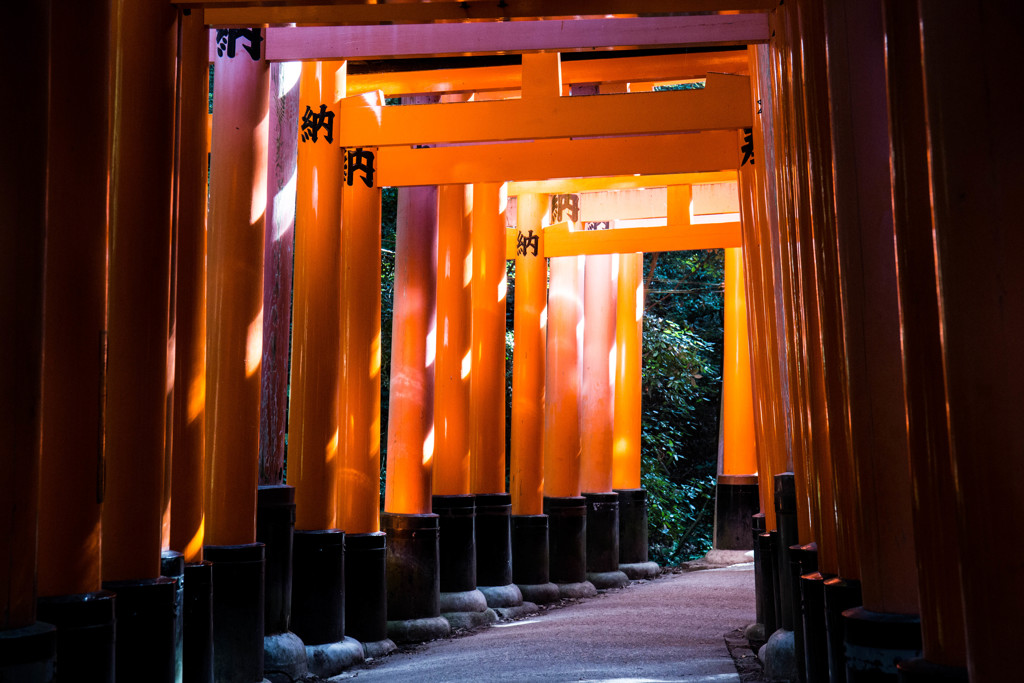 大きな鳥居の連なり　Ⅱ