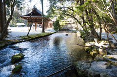 上賀茂神社の小川