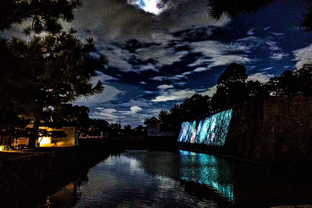 二条城内堀の夜景色