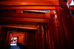 千本鳥居で　Ⅷ