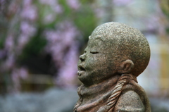 何を唱えている？