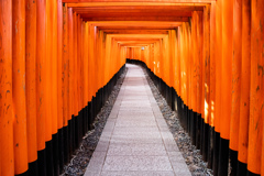 夏・千本鳥居の朝　Ⅲ