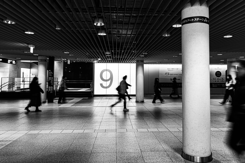 The 9