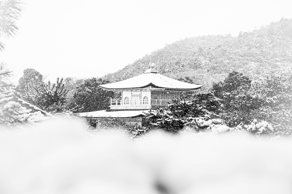 『雪に煙る金閣』