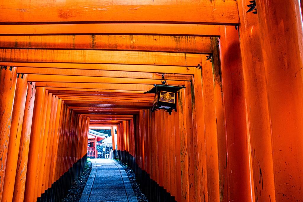 千本鳥居にて。