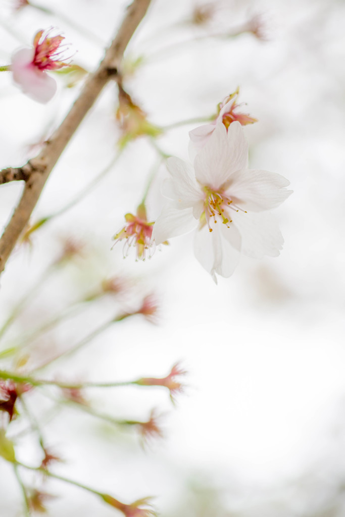 「ありがとね～♪」
