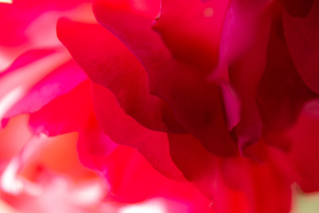 Cool RED