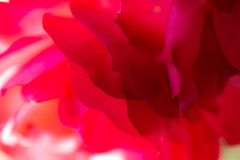 Cool RED