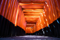 千本鳥居の朝　Ⅰ