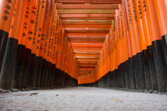 朝の千本鳥居　Ⅳ