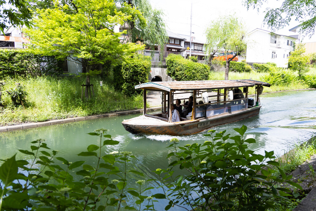 紫陽花が咲き始めた伏見で　Ⅰ