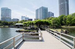 浜離宮恩賜庭園で。　Ⅳ