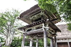 白川郷のお寺　－明善寺